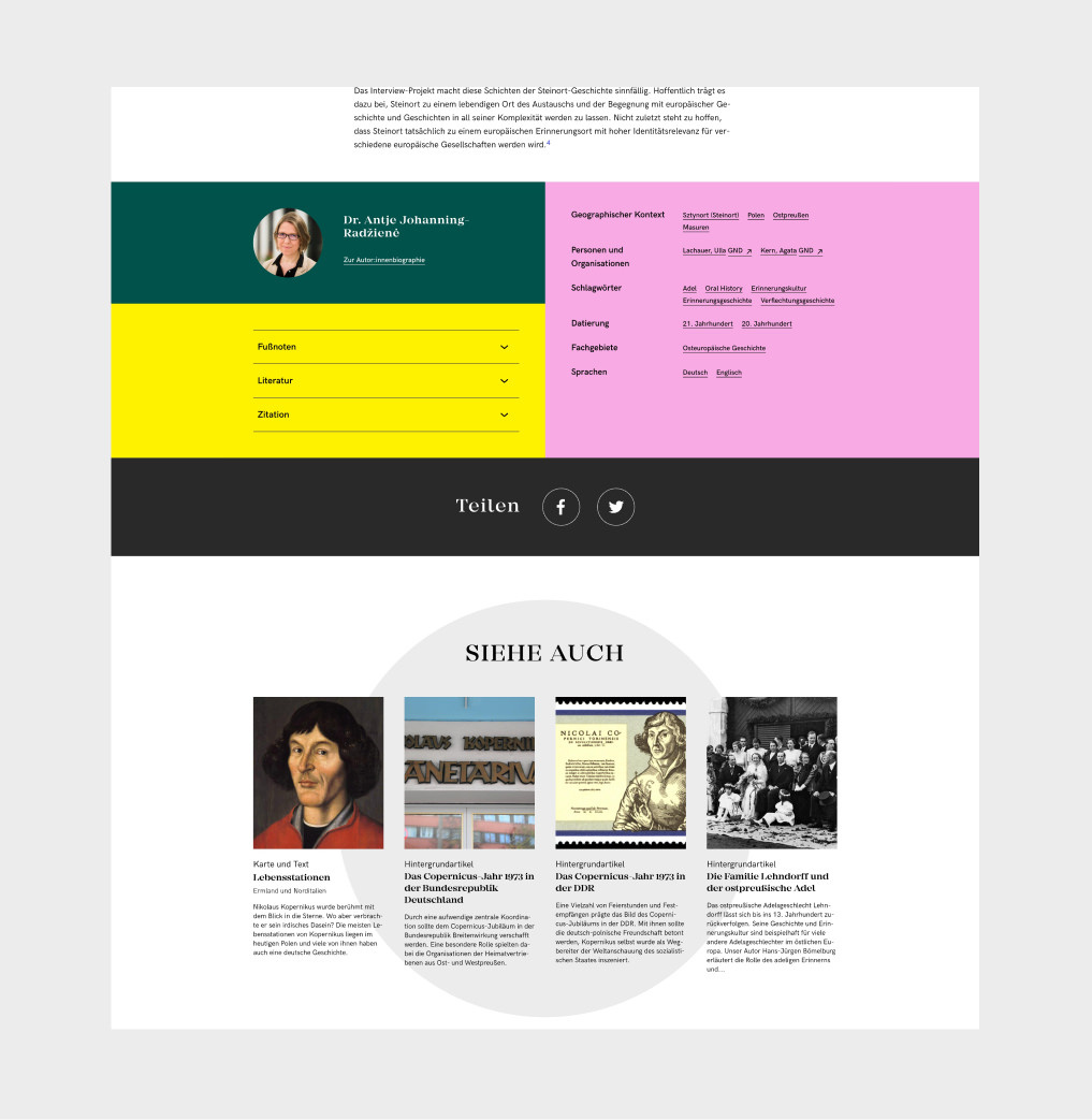 Footer der Website mit farbigen Flächen in dunkelgrün, gelb und rosa